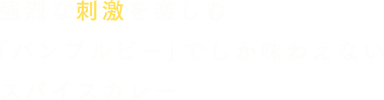 強烈な刺激を楽しむ「バンブルビー」でしか味わえないスパイスカレー