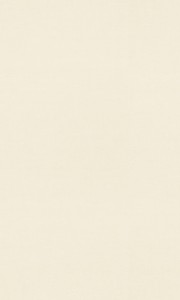 top_bg002