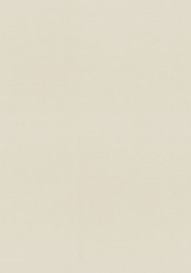 top_bg003