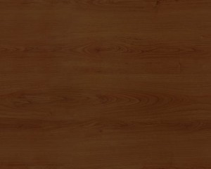 top_bg004